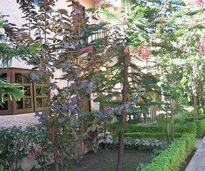 Corbett Treff Hotel Dhikuli Exterior foto
